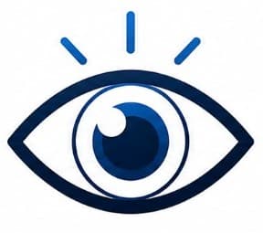 Vision